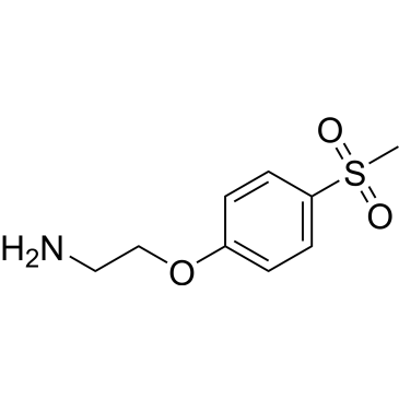 1-(2-Aminoethoxy)-4-methanesulfonylbenzene|CS-0258618