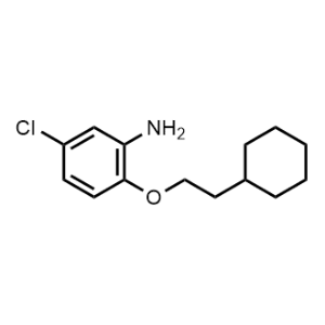 5-Chloro-2-(2-cyclohexylethoxy)aniline|CS-0259805