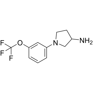 1-[3-(trifluoromethoxy)phenyl]pyrrolidin-3-amine|CS-0261156