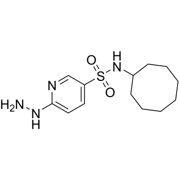 N-Cyclooctyl-6-hydrazinylpyridine-3-sulfonamide|CS-0261742