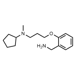 N-{3-[2-(Aminomethyl)phenoxy]propyl}-N-methylcyclopentanamine|CS-0263316