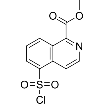 Methyl 5-(chlorosulfonyl)isoquinoline-1-carboxylate|CS-0263768