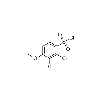 2,3-Dichloro-4-methoxybenzene-1-sulfonyl chloride|CS-0263834