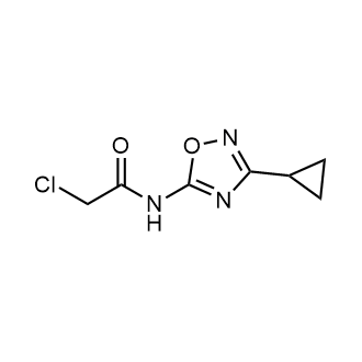 2-Chloro-N-(3-cyclopropyl-1,2,4-oxadiazol-5-yl)acetamide|CS-0264023