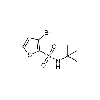 3-Bromo-N-tert-butylthiophene-2-sulfonamide|CS-0265029