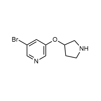 3-Bromo-5-(pyrrolidin-3-yloxy)pyridine|CS-0265896