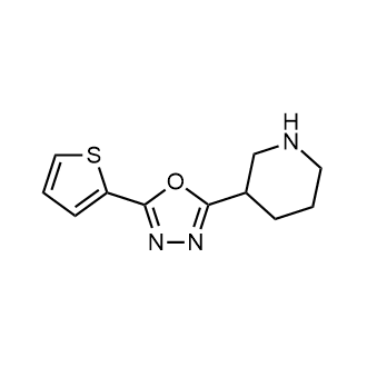 2-(Piperidin-3-yl)-5-(thiophen-2-yl)-1,3,4-oxadiazole|CS-0267462