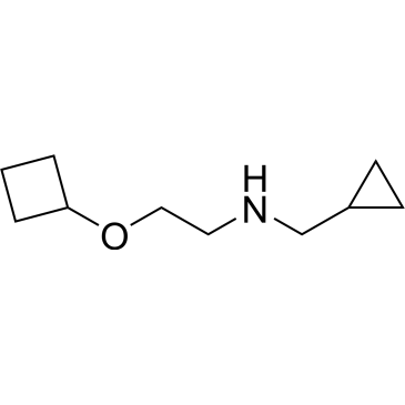 2-Cyclobutoxy-N-(cyclopropylmethyl)ethan-1-amine|CS-0267652