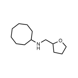 N-((Tetrahydrofuran-2-yl)methyl)cyclooctanamine|CS-0267758