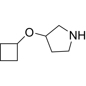 3-Cyclobutoxypyrrolidine|CS-0267795