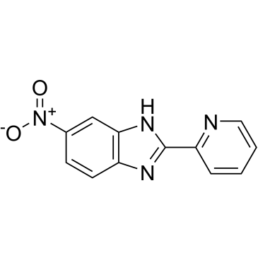 6-Nitro-2-(pyridin-2-yl)-1h-benzo[d]imidazole|CS-0269400