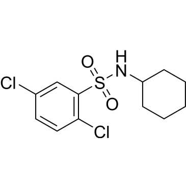 2,5-Dichloro-N-cyclohexylbenzenesulfonamide|CS-0271641
