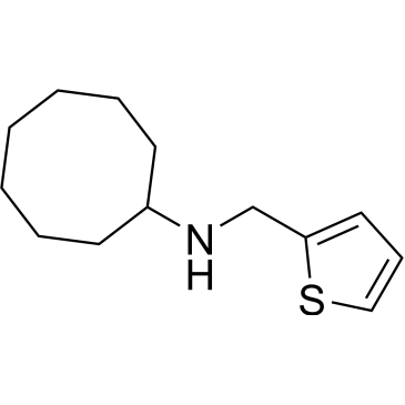 N-(Thiophen-2-ylmethyl)cyclooctanamine|CS-0271721