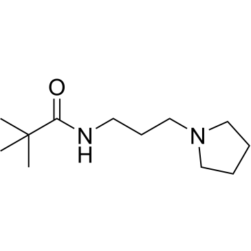 N-(3-(Pyrrolidin-1-yl)propyl)pivalamide|CS-0272533