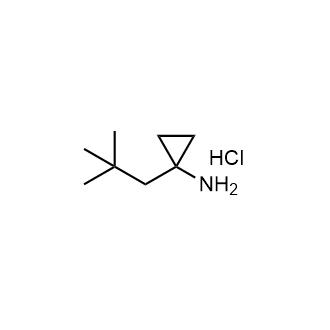1-Neopentylcyclopropan-1-amine hydrochloride|CS-0272674