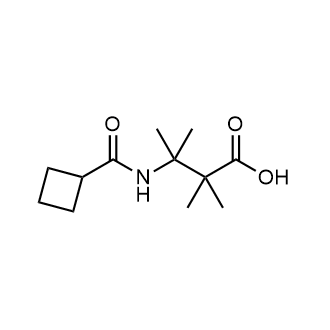 3-(Cyclobutanecarboxamido)-2,2,3-trimethylbutanoic acid|CS-0273092