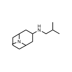 N-Isobutyl-9-methyl-9-azabicyclo[3.3.1]nonan-3-amine|CS-0274360