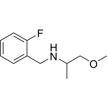 N-(2-Fluorobenzyl)-1-methoxypropan-2-amine|CS-0276207