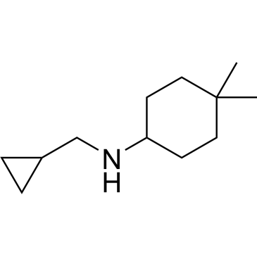 N-(Cyclopropylmethyl)-4,4-dimethylcyclohexan-1-amine|CS-0279290