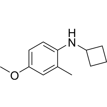 N-Cyclobutyl-4-methoxy-2-methylaniline|CS-0281094