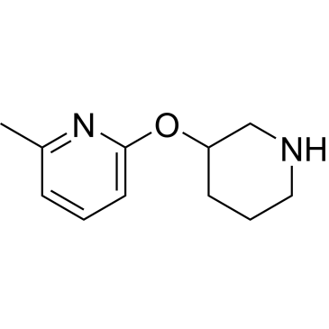 2-Methyl-6-(piperidin-3-yloxy)pyridine|CS-0282321