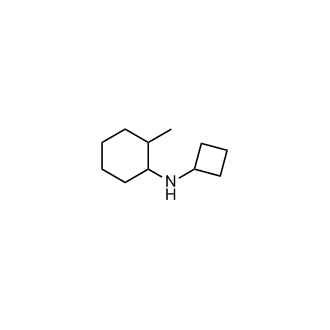 n-Cyclobutyl-2-methylcyclohexan-1-amine|CS-0283048