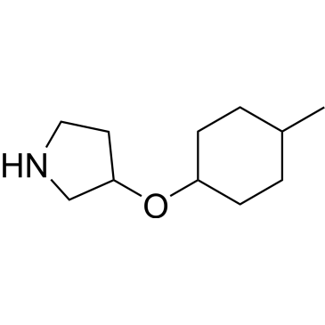 3-((4-Methylcyclohexyl)oxy)pyrrolidine|CS-0283251