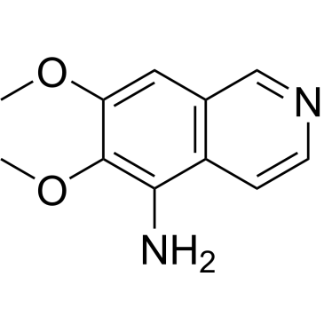 6,7-Dimethoxyisoquinolin-5-amine|CS-0283589