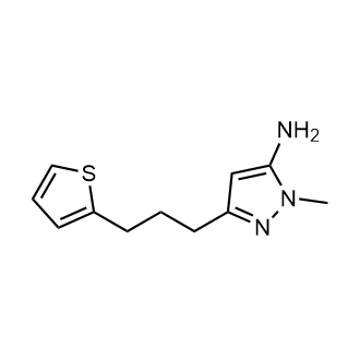 1-Methyl-3-(3-(thiophen-2-yl)propyl)-1h-pyrazol-5-amine|CS-0283869