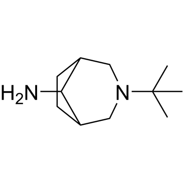 3-(Tert-butyl)-3-azabicyclo[3.2.1]octan-8-amine|CS-0285417