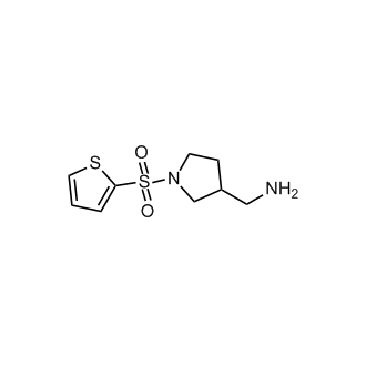 (1-(Thiophen-2-ylsulfonyl)pyrrolidin-3-yl)methanamine|CS-0286391
