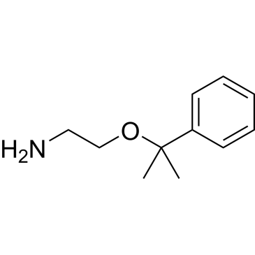 2-((2-Phenylpropan-2-yl)oxy)ethan-1-amine|CS-0286795