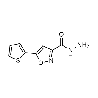 5-(Thiophen-2-yl)isoxazole-3-carbohydrazide|CS-0286872