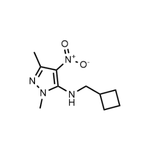 N-(Cyclobutylmethyl)-1,3-dimethyl-4-nitro-1H-pyrazol-5-amine|CS-0287190