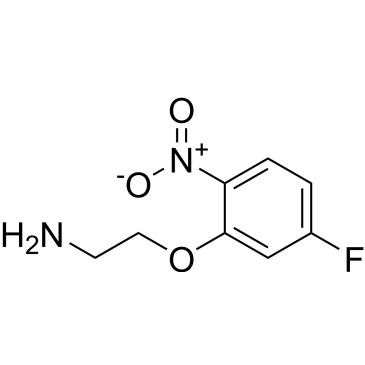 2-(5-Fluoro-2-nitrophenoxy)ethan-1-amine|CS-0287320