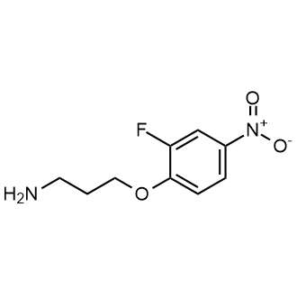 3-(2-Fluoro-4-nitrophenoxy)propan-1-amine|CS-0287337