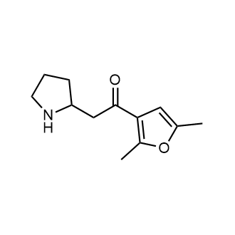 1-(2,5-Dimethylfuran-3-yl)-2-(pyrrolidin-2-yl)ethan-1-one|CS-0288671