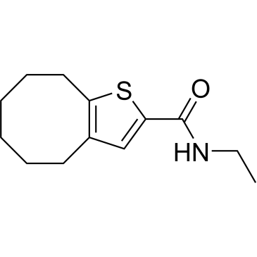 N-Ethyl-4,5,6,7,8,9-hexahydrocycloocta[b]thiophene-2-carboxamide|CS-0289310