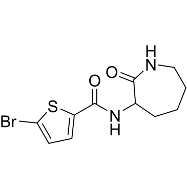 5-Bromo-N-(2-oxoazepan-3-yl)thiophene-2-carboxamide|CS-0289517