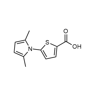 5-(2,5-Dimethyl-1h-pyrrol-1-yl)thiophene-2-carboxylic acid|CS-0289747