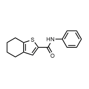 N-Phenyl-4,5,6,7-tetrahydrobenzo[b]thiophene-2-carboxamide|CS-0290194