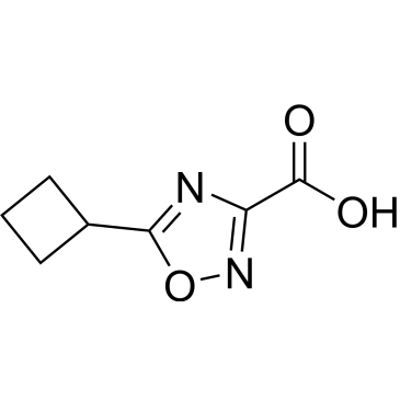 5-Cyclobutyl-1,2,4-oxadiazole-3-carboxylic acid|CS-0290993