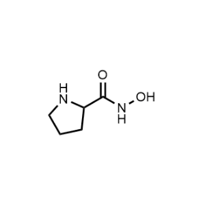 N-Hydroxypyrrolidine-2-carboxamide|CS-0291774