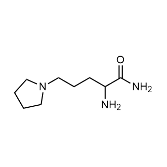 2-Amino-5-(pyrrolidin-1-yl)pentanamide|CS-0292526