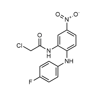 2-Chloro-N-(2-((4-fluorophenyl)amino)-5-nitrophenyl)acetamide|CS-0294017