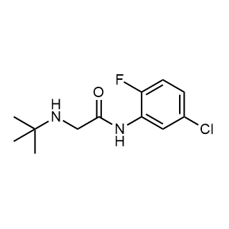 2-(Tert-butylamino)-N-(5-chloro-2-fluorophenyl)acetamide|CS-0294043