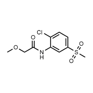 N-(2-Chloro-5-(methylsulfonyl)phenyl)-2-methoxyacetamide|CS-0294062