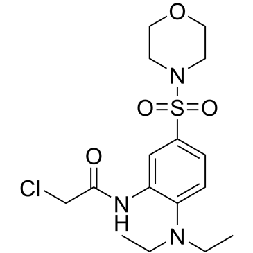 2-Chloro-N-(2-(diethylamino)-5-(morpholinosulfonyl)phenyl)acetamide|CS-0294069