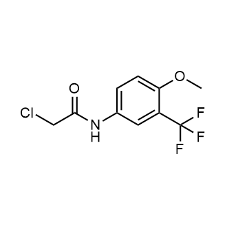 2-Chloro-N-(4-methoxy-3-(trifluoromethyl)phenyl)acetamide|CS-0294209
