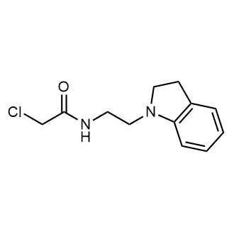 2-Chloro-N-(2-(indolin-1-yl)ethyl)acetamide|CS-0295475